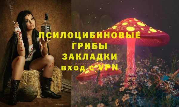 соль курить ск Кулебаки