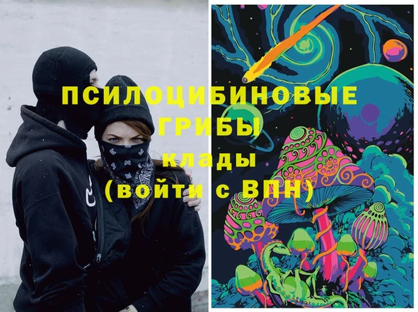 гидропоника Кукмор