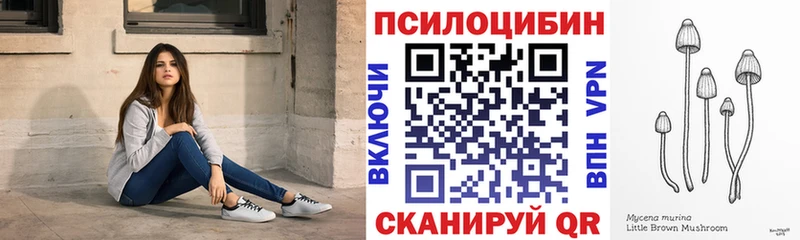Псилоцибиновые грибы GOLDEN TEACHER  Купить закладки  Почеп 